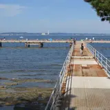 佐久島海釣りセンター