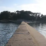 佐久島弁財天