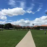 スタンフォード大学