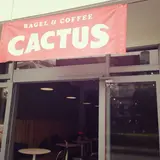 LITTLE CACTUS