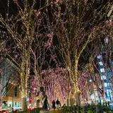 SENDAI光のページェント