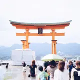 嚴島神社 大鳥居