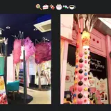 自由が丘スイーツフォレスト