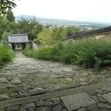 白毫寺