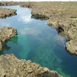 熱帯魚の家