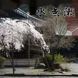 水無瀬神宮境内社 柿本神社