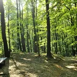 Kahlenberg