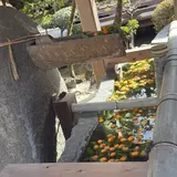 手水舎(上賀茂神社)