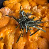 道の駅知床・らうす