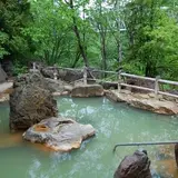 湯元白金温泉ホテル