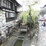宗祇水