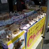 チーサ