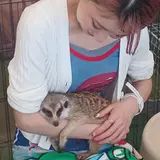 平野アニマルテラス