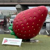 グランベリー大地