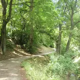 Beethovengang