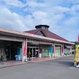 道の駅 桜島 火の島めぐみ館