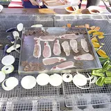 フィッシングパーク宇都宮インター