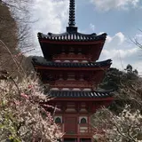 三室戸寺