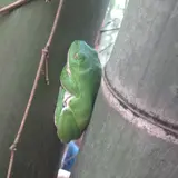 大江の山奥