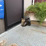 佐久島観光協会