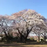 矢川上公園