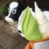 松ぼっくり