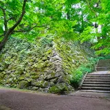 大本花明山植物園