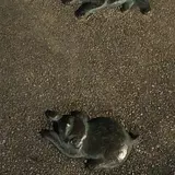 夢京橋キャッスルロード