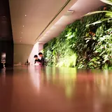 CoSTUME NATIONAL | WALL