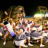 高円寺阿波踊り