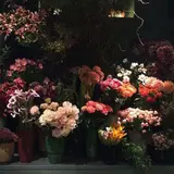 odette 代官山店