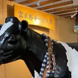 富良野チーズ工房