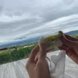 カンパーナ六花亭