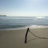 潮干狩り（形原海岸）
