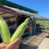 北海道あっさぶ・ささき直売所