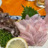 魚さんこ