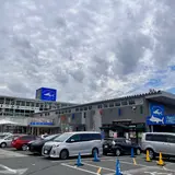 ザ・フィッシュ