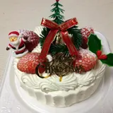 多根果実店