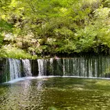 白糸の滝