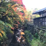 うぐいす谷温泉 竹の葉