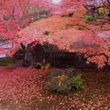 栗棘庵