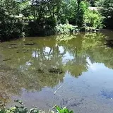 出口池