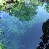 涌池