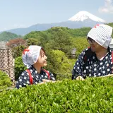 蔵屋鳴沢反射炉ビヤ直営レストランほむら