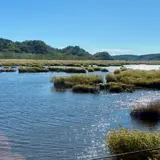 花咲線