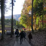 鶏足寺紅葉散策路