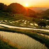 大山千枚田