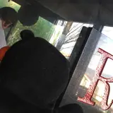 駱駝