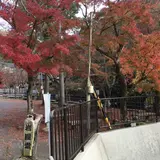 岩屋堂公園