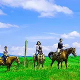 エルパティオ牧場